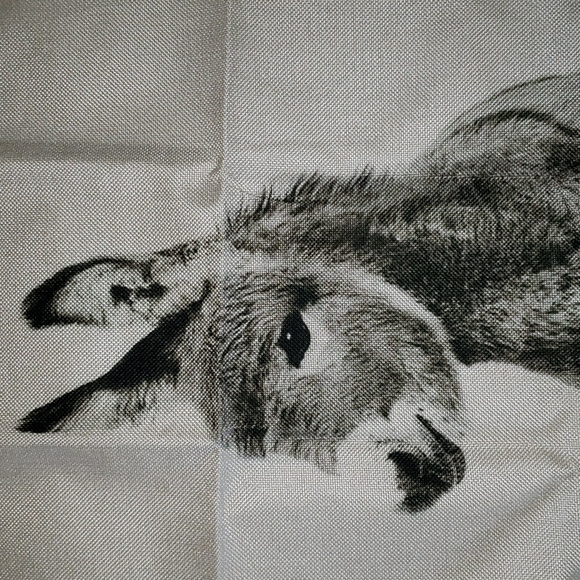 Donkey Pillow Cover Donkey Pillow Case Donkey Cushion Cover Burro Burrito - Picture 10 of 11